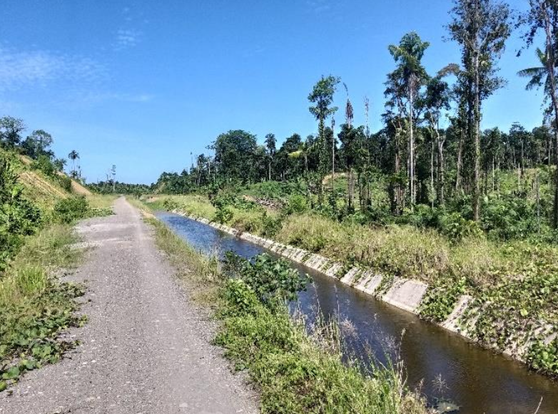 Review of Irrigation Design for Akelamo Irrigation Area, East Halmahera